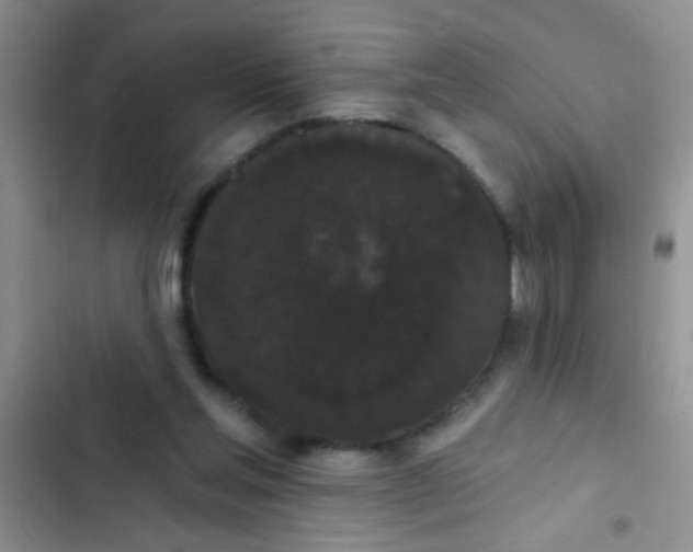 X0000102530205200808221913