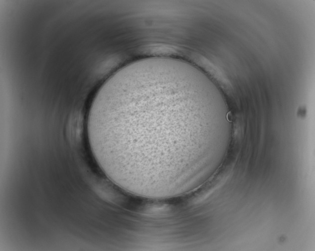 X0000102530206200808221913