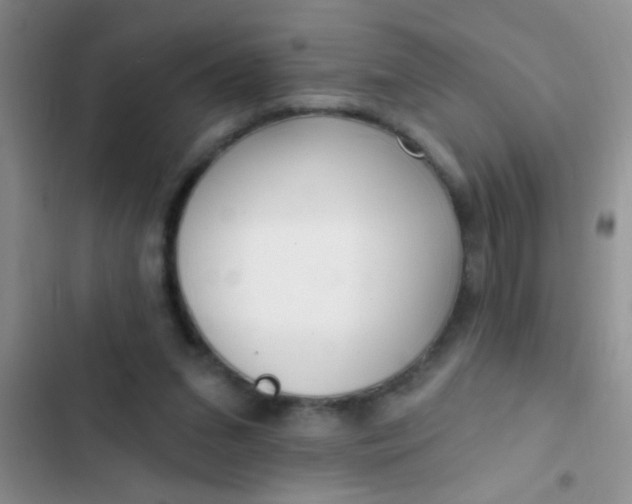 X0000102530207200808221913