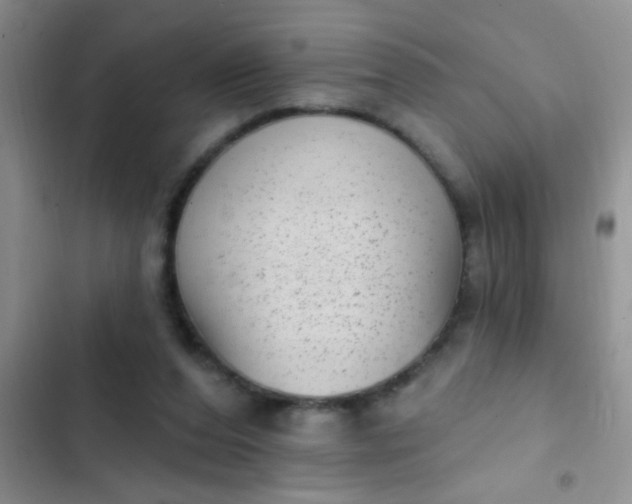 X0000102530208200808221913