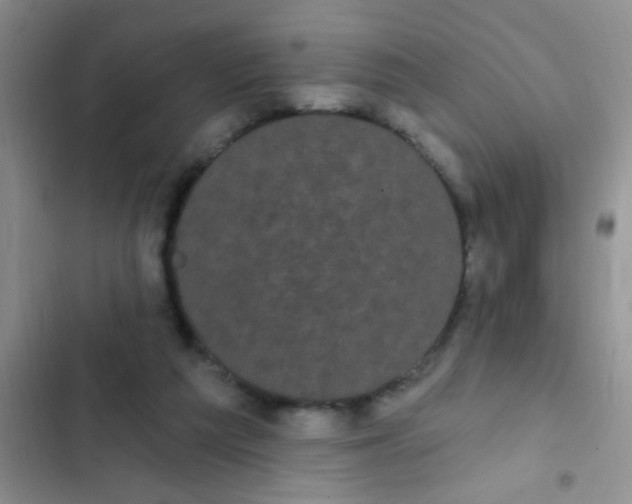 X0000102530209200808221913