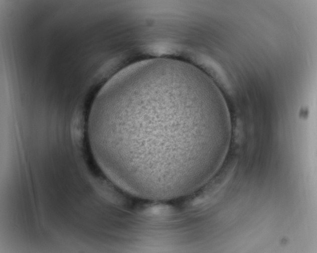 X0000102530210200808221913