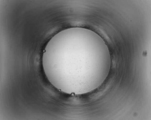 X0000102530211200808221913