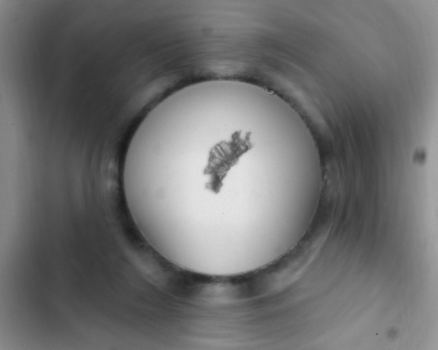 X0000102530212200808221913