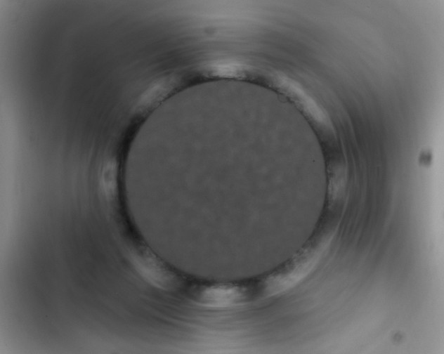 X0000102530213200808221913