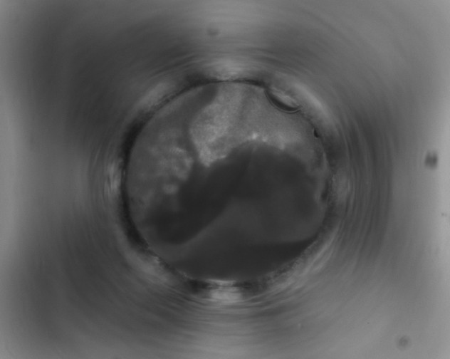 X0000102530214200808221913