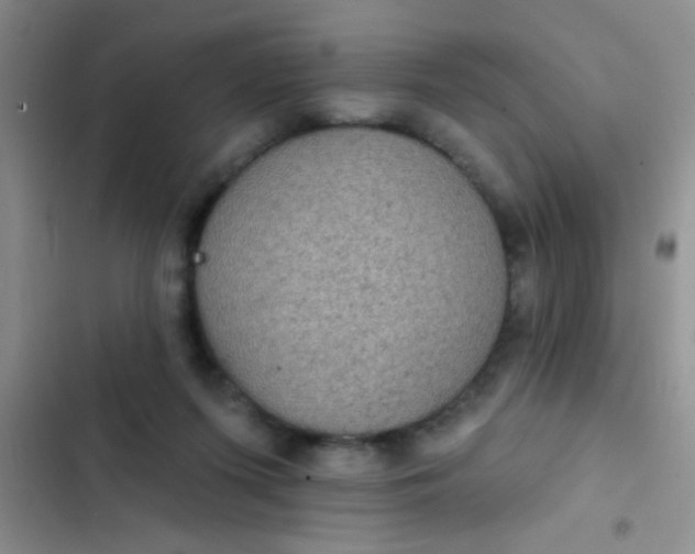 X0000102530215200808221913