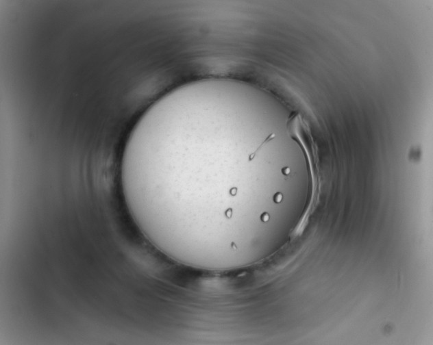 X0000102530216200808221913