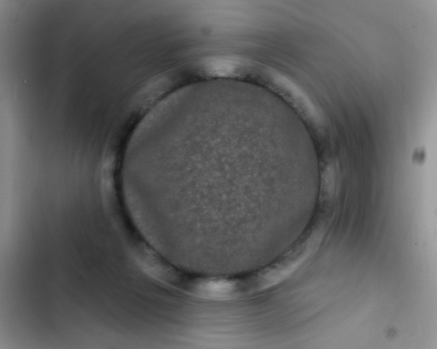 X0000102530217200808221913