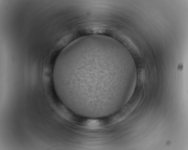 X0000102530218200808221913