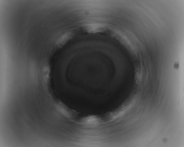 X0000102530219200808221913