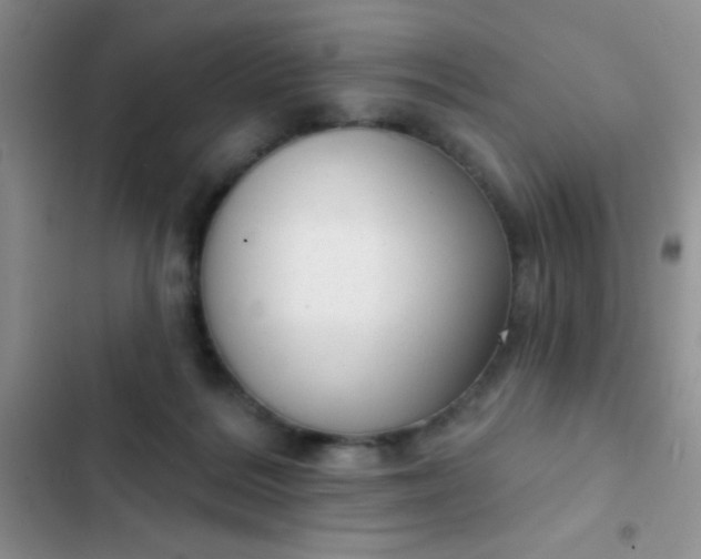 X0000102530220200808221913