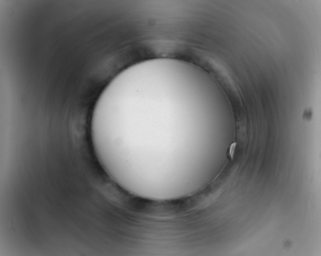 X0000102530221200808221913