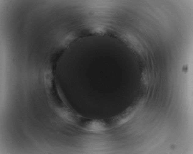 X0000102530223200808221913