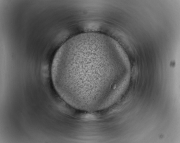 X0000102530224200808221913