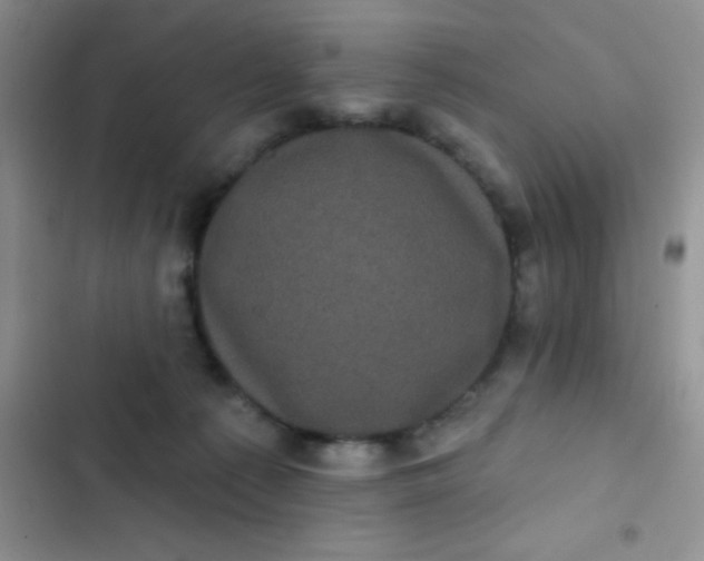 X0000102530225200808221913