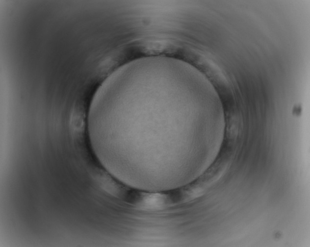 X0000102530226200808221913