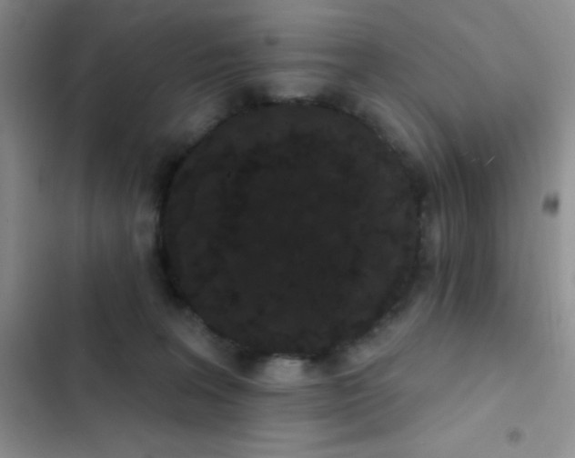 X0000102530227200808221912