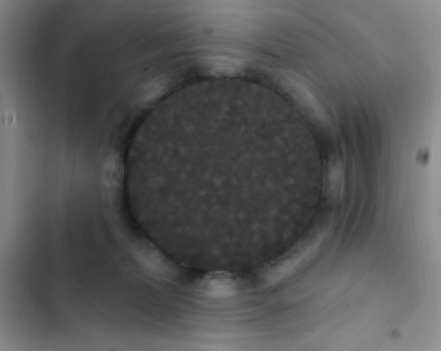 X0000102530228200808221912