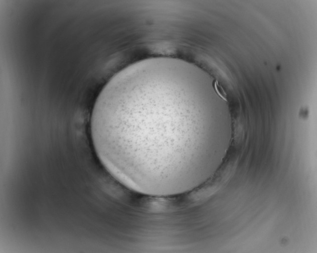 X0000102530229200808221912