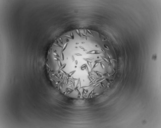 X0000102530230200808221912