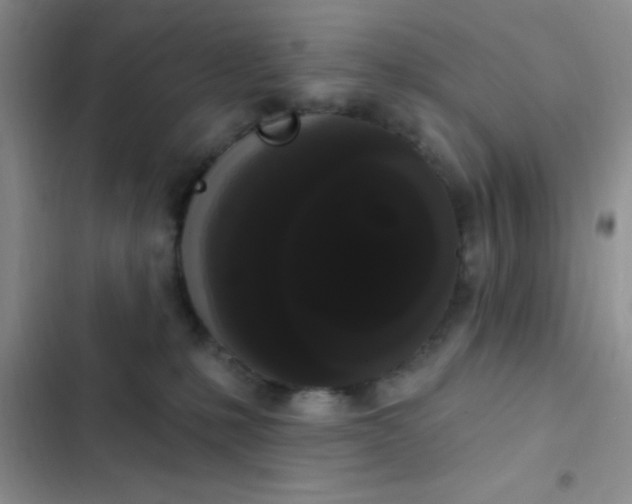 X0000102530231200808221912