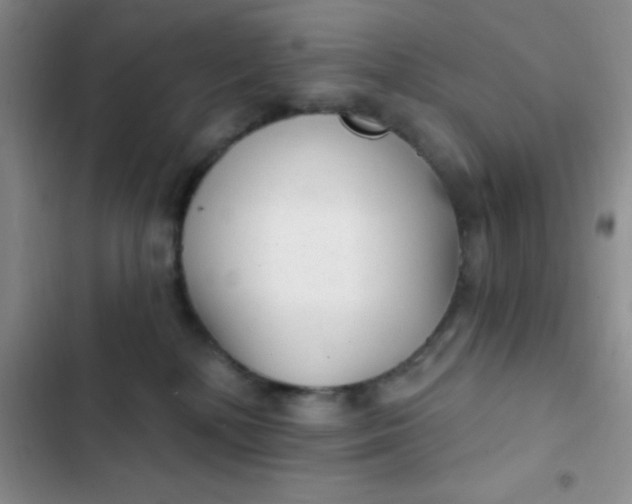 X0000102530232200808221912