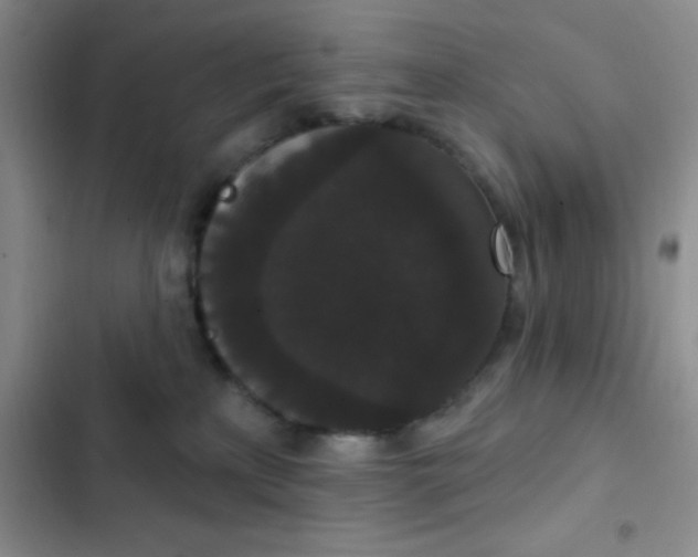 X0000102530233200808221912