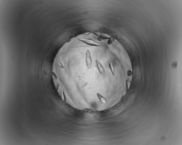 X0000102530234200808221912