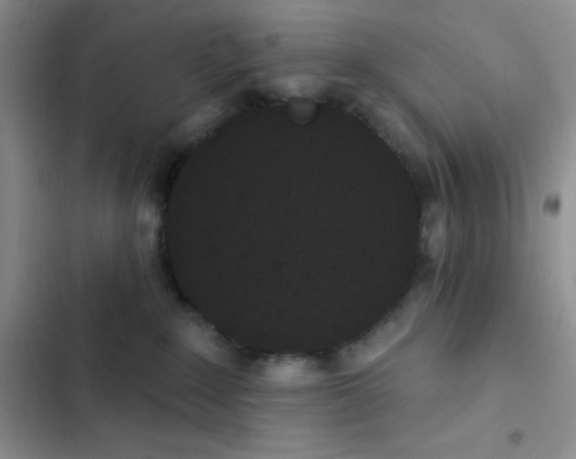 X0000102530235200808221912