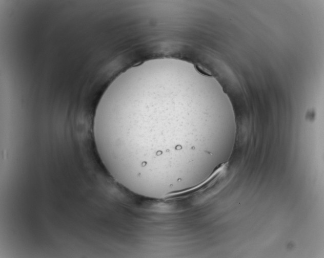 X0000102530236200808221912