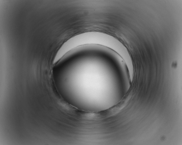 X0000102530237200808221912