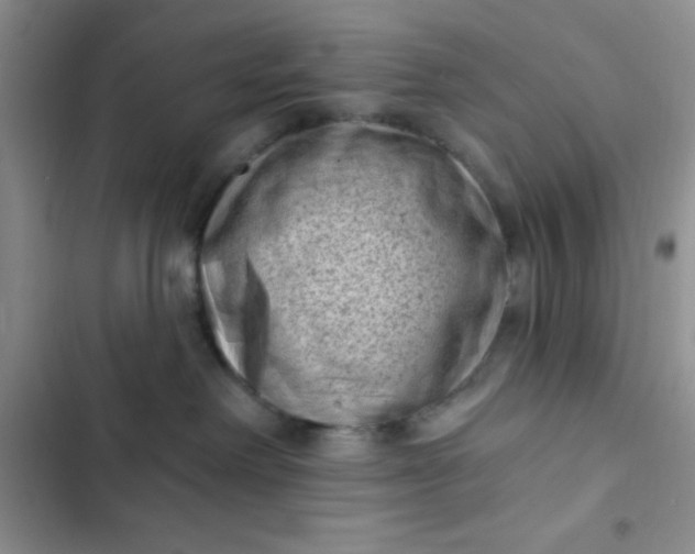 X0000102530238200808221912