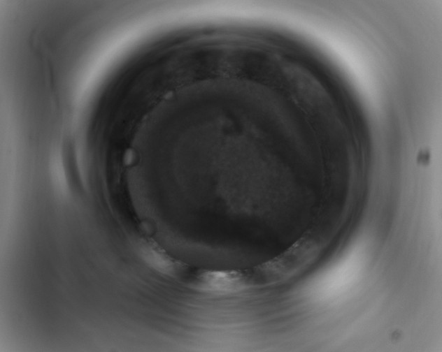 X0000102530239200808221912