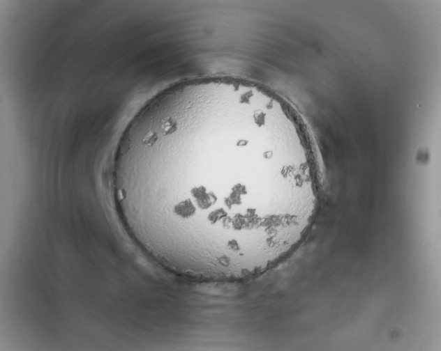 X0000102530241200808221911