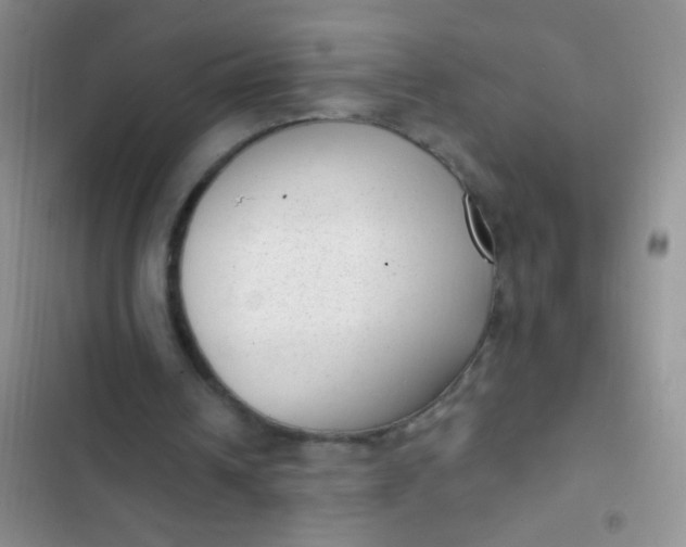 X0000102530242200808221911