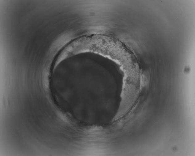 X0000102530243200808221912