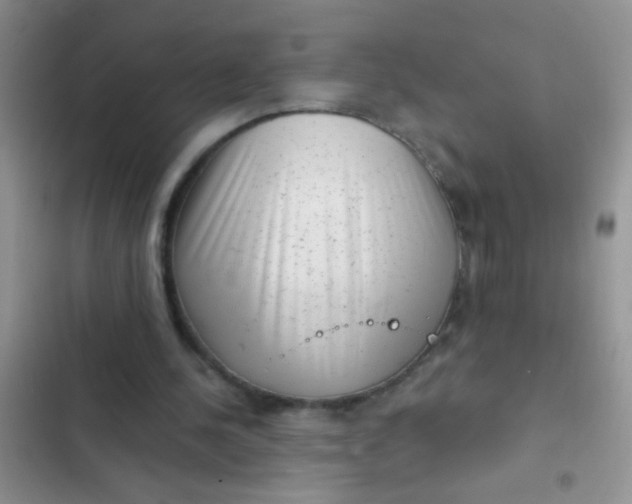 X0000102530244200808221912