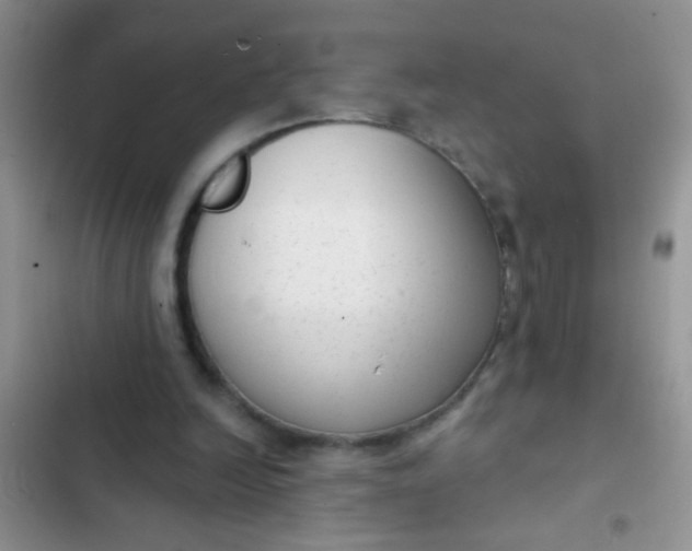 X0000102530246200808221912