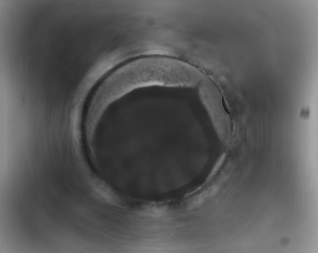 X0000102530247200808221912