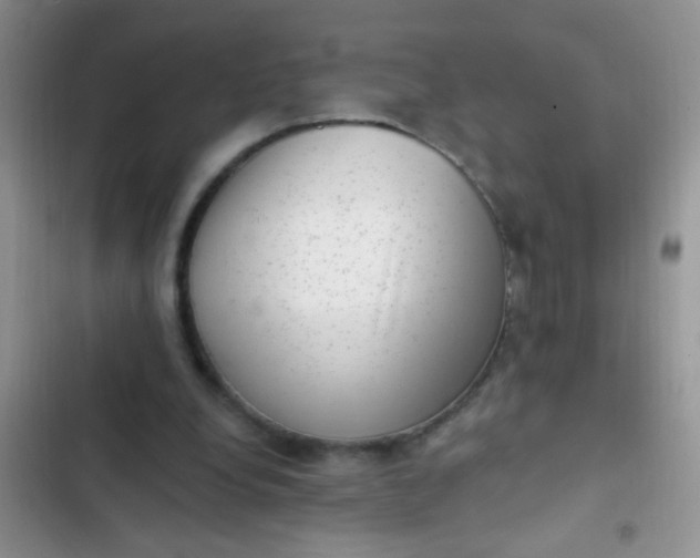 X0000102530248200808221912