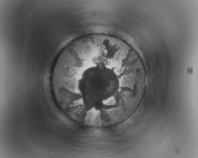 X0000102530249200808221912