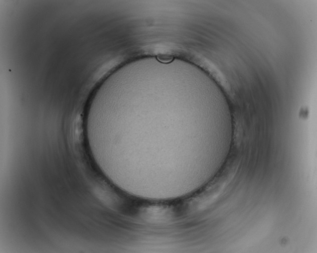 X0000102530251200808221912