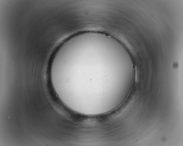 X0000102530252200808221912