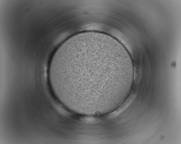 X0000102530253200808221912