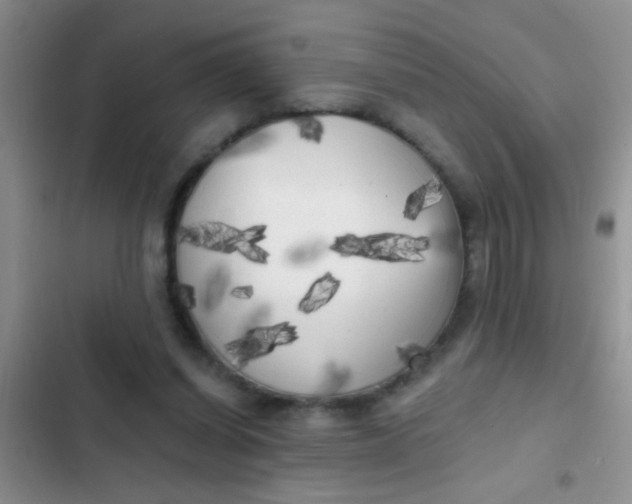 X0000102530254200808221912