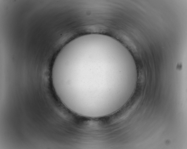 X0000102530255200808221912