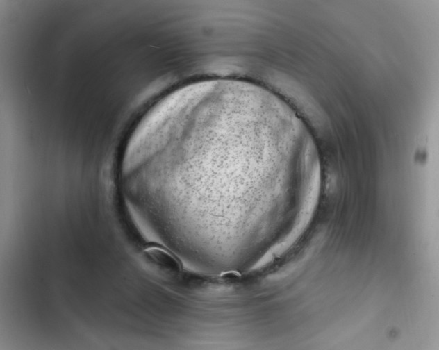 X0000102530256200808221912