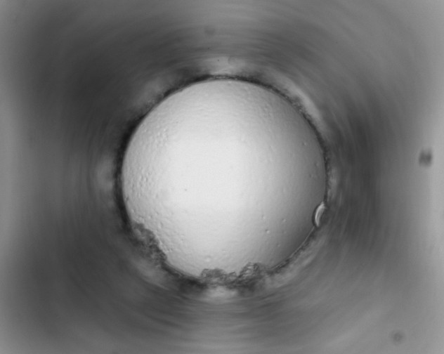 X0000102530257200808221912