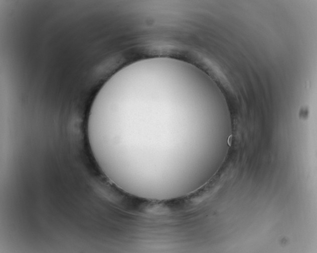 X0000102530258200808221912